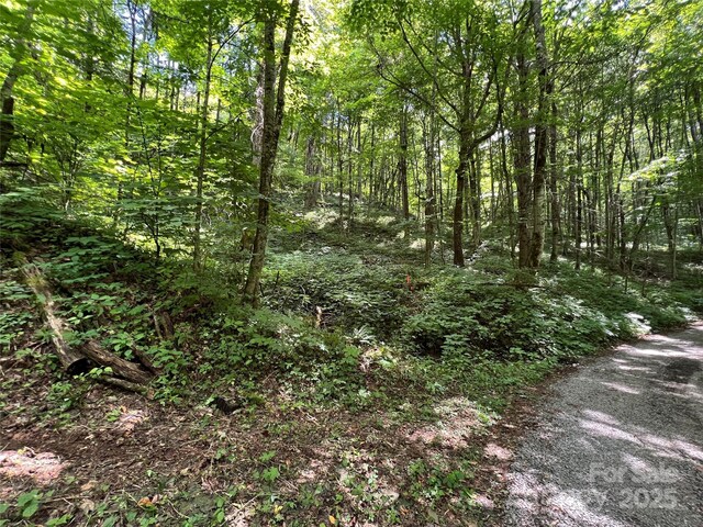 00 Old Sawmill Rd, Burnsville, NC 28714
