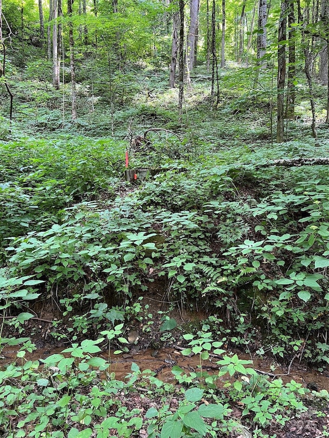00 Old Sawmill Rd, Burnsville, NC 28714
