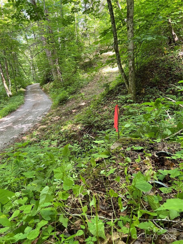 00 Old Sawmill Rd, Burnsville, NC 28714