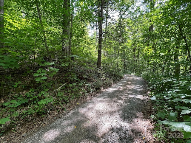 00 Old Sawmill Rd, Burnsville, NC 28714