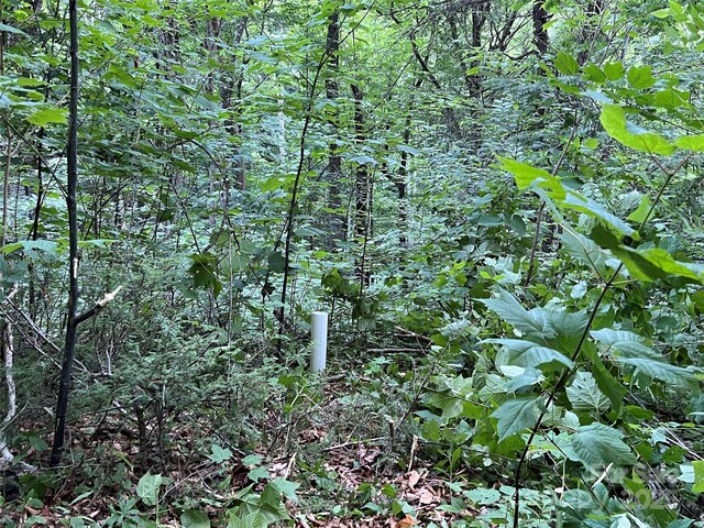 00 Old Sawmill Rd, Burnsville, NC 28714