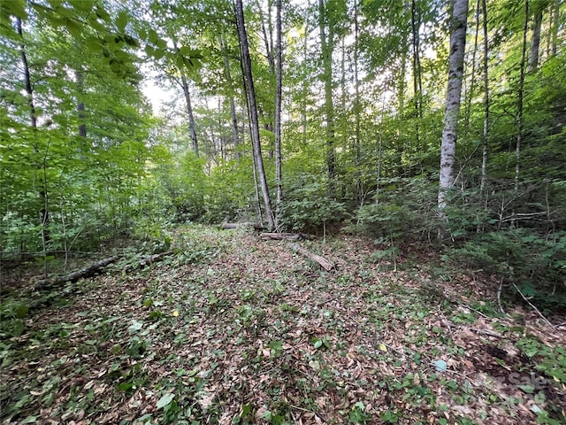 00 Old Sawmill Rd, Burnsville, NC 28714
