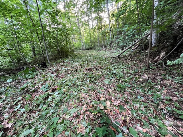00 Old Sawmill Rd, Burnsville, NC 28714