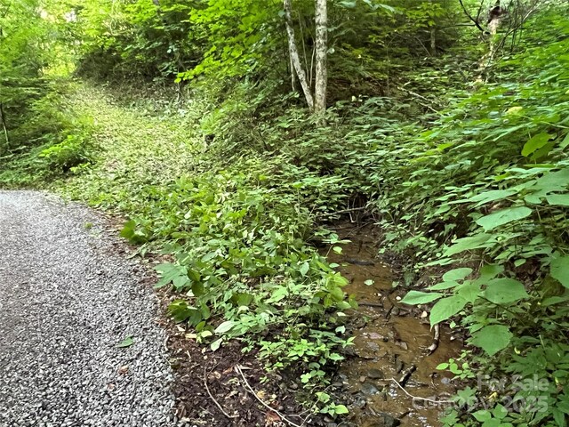 00 Old Sawmill Rd, Burnsville, NC 28714
