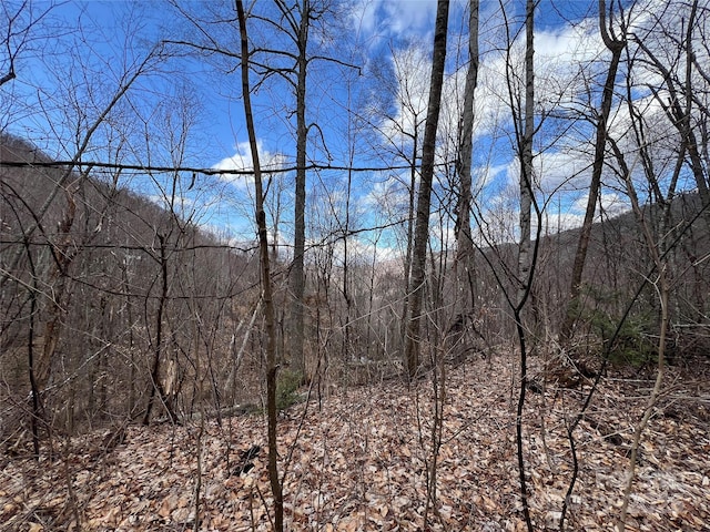 00 Old Sawmill Rd, Burnsville, NC 28714