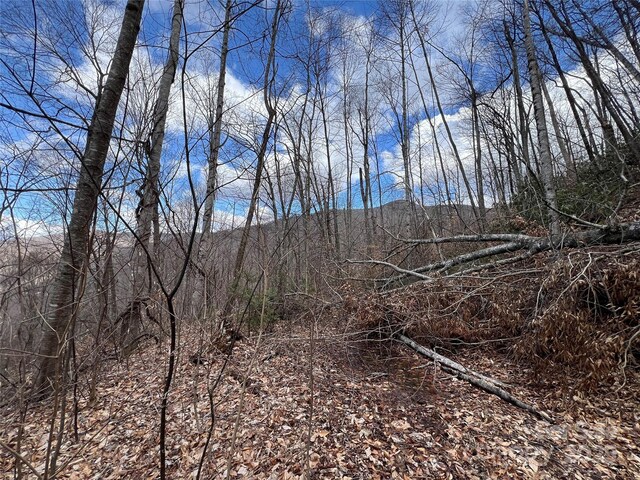 00 Old Sawmill Rd, Burnsville, NC 28714