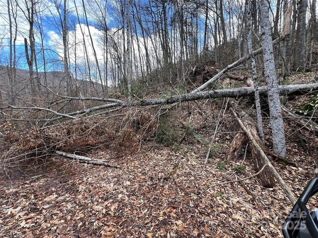 00 Old Sawmill Rd, Burnsville, NC 28714
