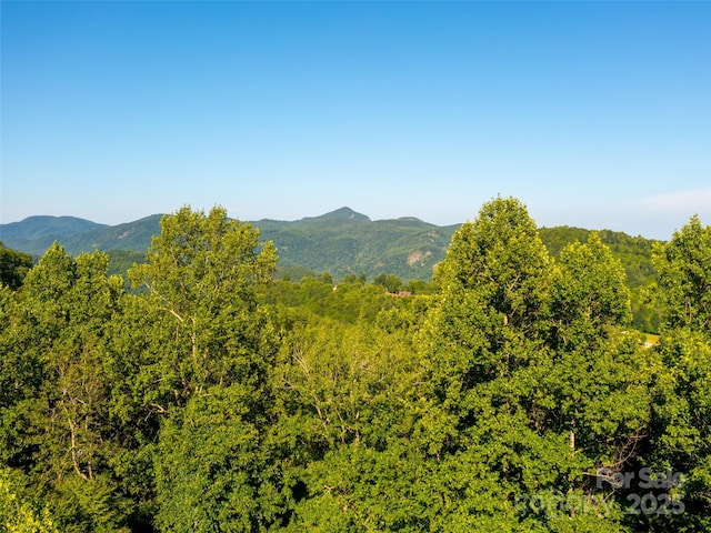 Listing photo 2 for 811 Grand Oaks Dr, Hendersonville NC 28792