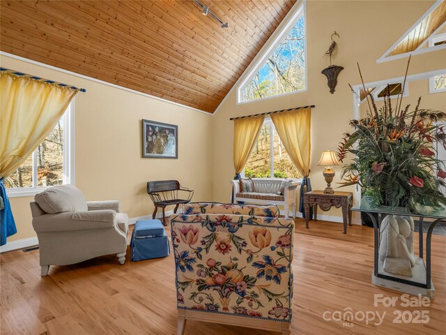 768 White Oak Ln, Tryon, NC 28782 - photo 9