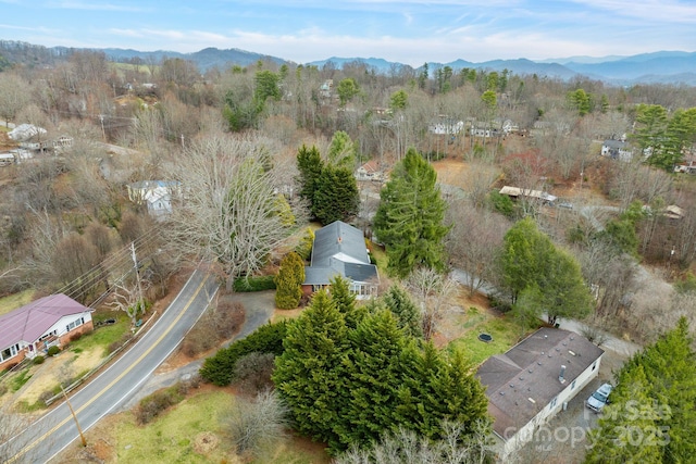 birds eye view of property with a mountain view