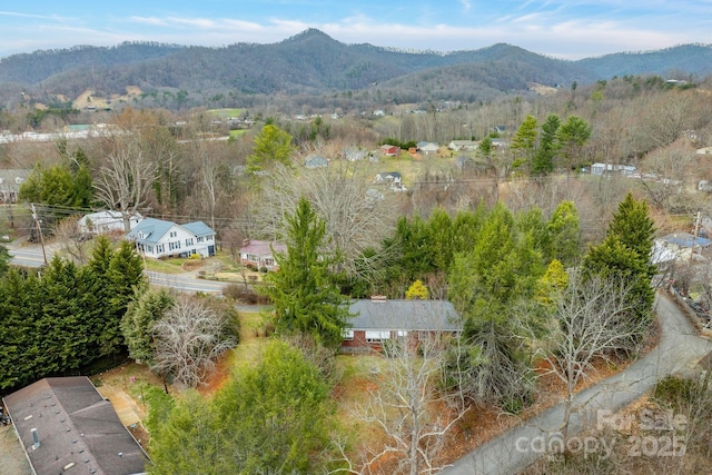 birds eye view of property featuring a mountain view