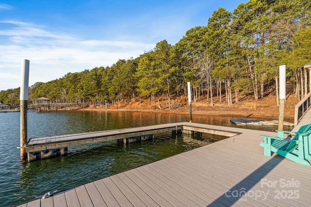 dock area with a water view