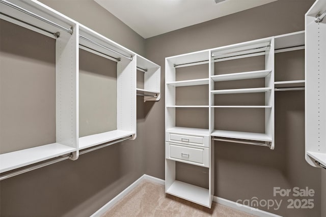 spacious closet featuring light carpet