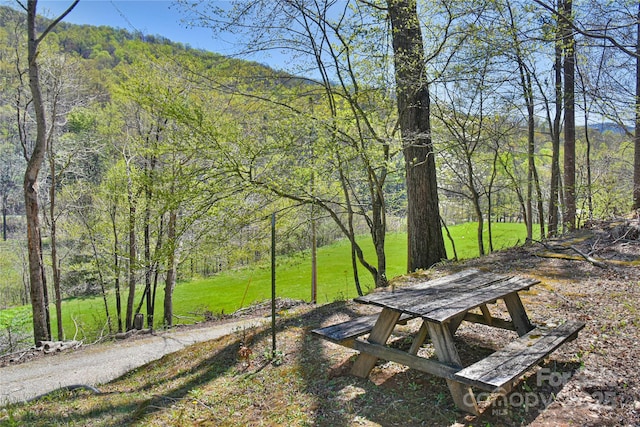 1707 Honeycutt Rd, Marion, NC 28752 - photo 6