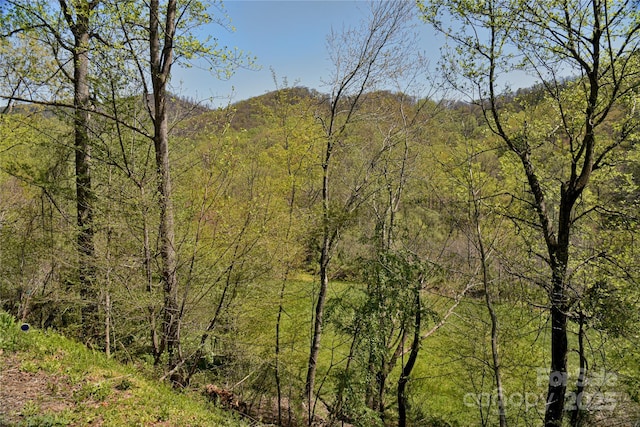 1707 Honeycutt Rd, Marion, NC 28752 - photo 8
