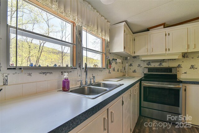 1707 Honeycutt Rd, Marion, NC 28752 - photo 14