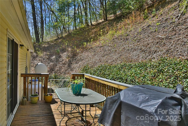 1707 Honeycutt Rd, Marion, NC 28752 - photo 25