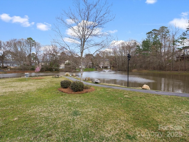 14723 Sapphire Ln, Pineville, NC 28134 - photo 41