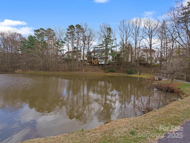 14723 Sapphire Ln, Pineville, NC 28134 - photo 42