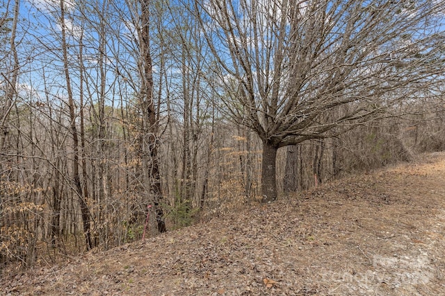 Listing photo 3 for LOT102 Glenhaven Dr, Marion NC 28752