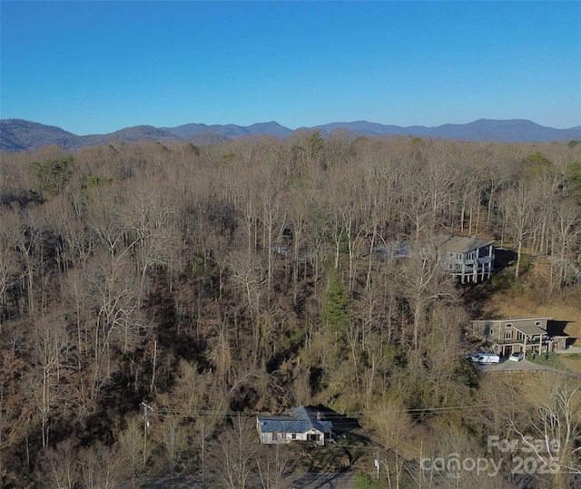 18 Governors View Rd, Asheville NC, 28805 land for sale