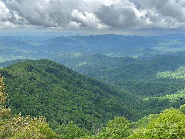 1245 Laurel Ln, Blowing Rock, NC 28605 - mountain view featuring a forest