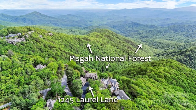 1245 Laurel Ln, Blowing Rock, NC 28605 - aerial overview of property's location featuring a heavily wooded area and a mountain backdrop