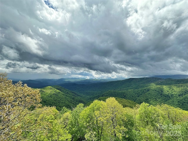 1245 Laurel Ln, Blowing Rock, NC 28605 - view of mountain background with a heavily wooded area