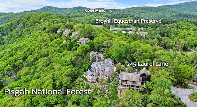 1245 Laurel Ln, Blowing Rock, NC 28605 - bird's eye view of a forest and a mountainous background