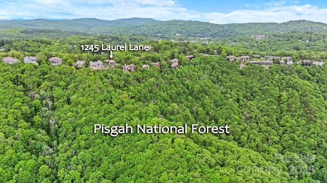 1245 Laurel Ln, Blowing Rock, NC 28605 - view of mountain backdrop with a forest