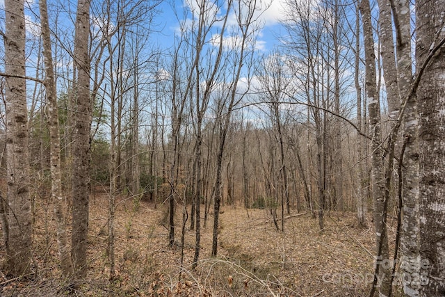 Listing photo 3 for LOT106 Glenhaven Dr, Marion NC 28752