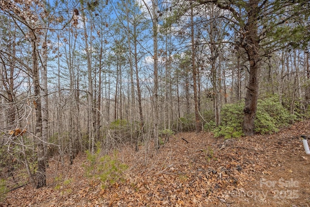 Listing photo 3 for LOT107 Glenhaven Dr, Marion NC 28752