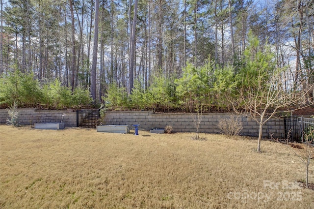 view of yard with fence