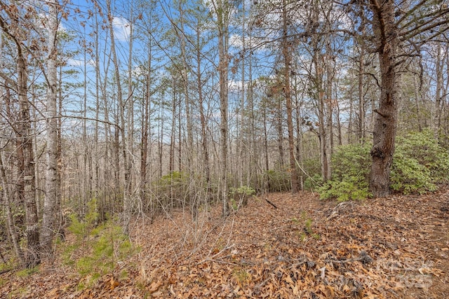 Listing photo 3 for LOT108 Glenhaven Dr, Marion NC 28752