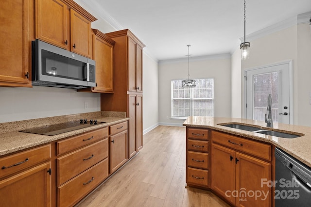 kitchen featuring black electric cooktop, a sink, brown cabinetry, dishwasher, and stainless steel microwave