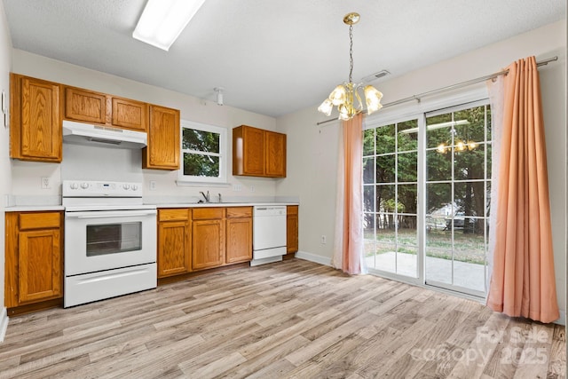 kitchen featuring white appliances, brown cabinetry, light wood-style flooring, light countertops, and under cabinet range hood