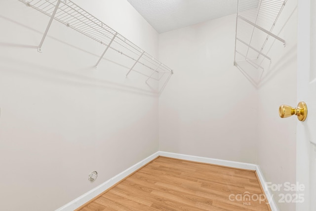 spacious closet featuring light wood-style floors