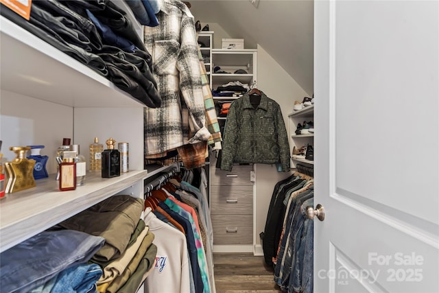 walk in closet with wood finished floors