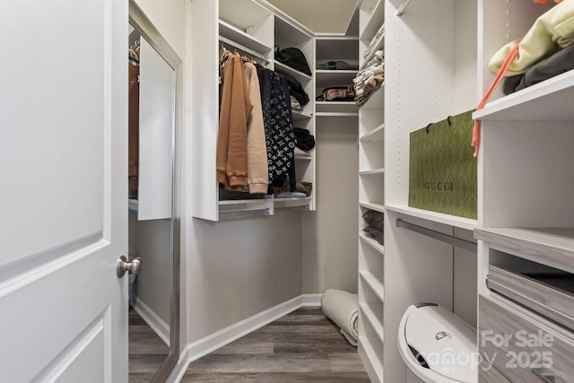 spacious closet featuring wood finished floors