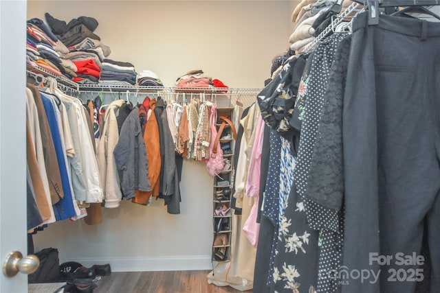 spacious closet with wood finished floors