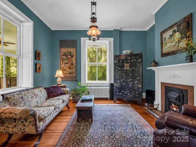 living room with radiator, wood finished floors, a warm lit fireplace, and ornamental molding