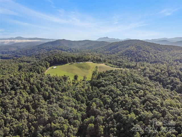 property view of mountains with a view of trees