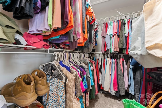 spacious closet featuring carpet