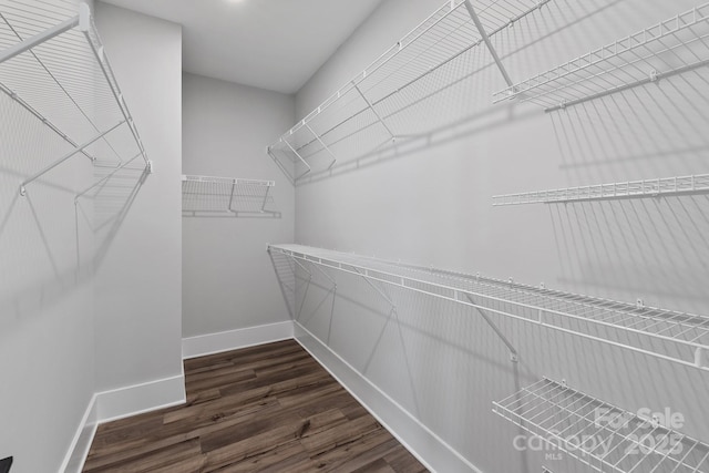 spacious closet featuring dark wood-style floors