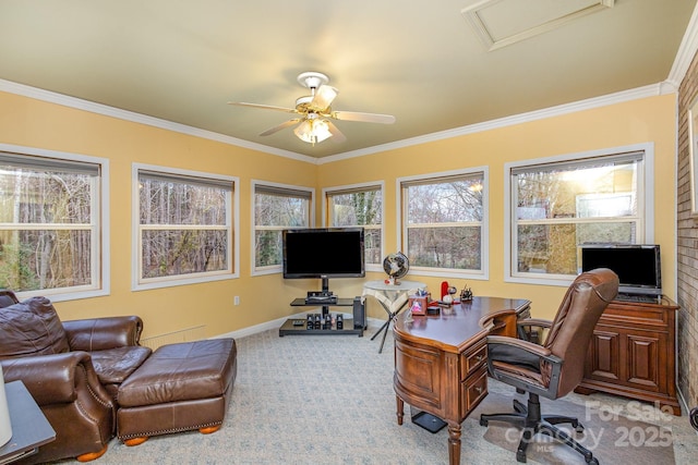 office space with ornamental molding, ceiling fan, and carpet floors