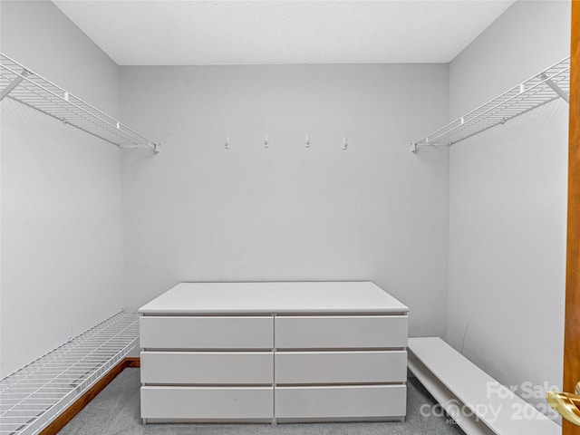 spacious closet with carpet floors