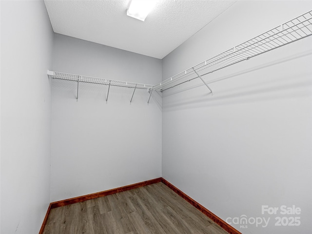 walk in closet with dark wood finished floors