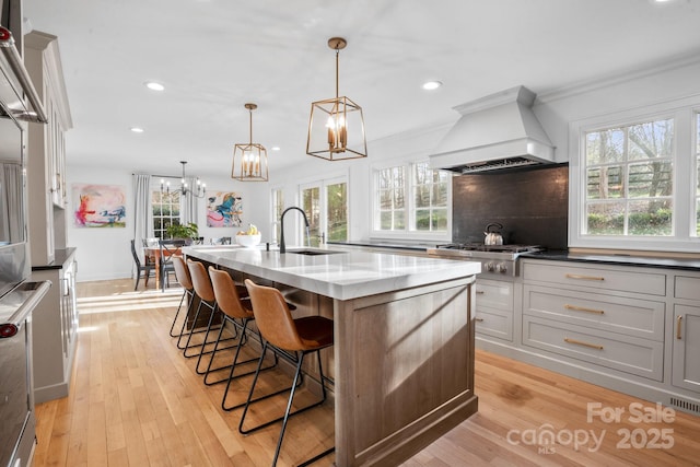 kitchen featuring tasteful backsplash, stainless steel appliances, light wood-style floors, premium range hood, and a sink