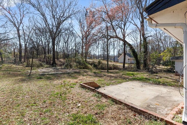 view of yard featuring a patio area