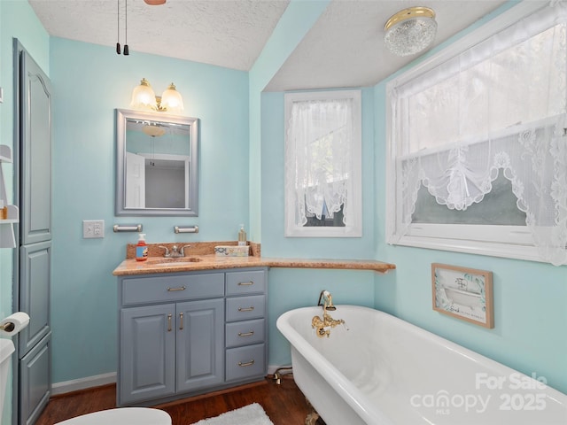 bathroom with a textured ceiling, a freestanding bath, wood finished floors, and vanity